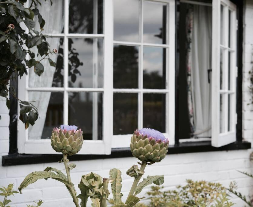 Highfield Lodge Tring Eksteriør bilde